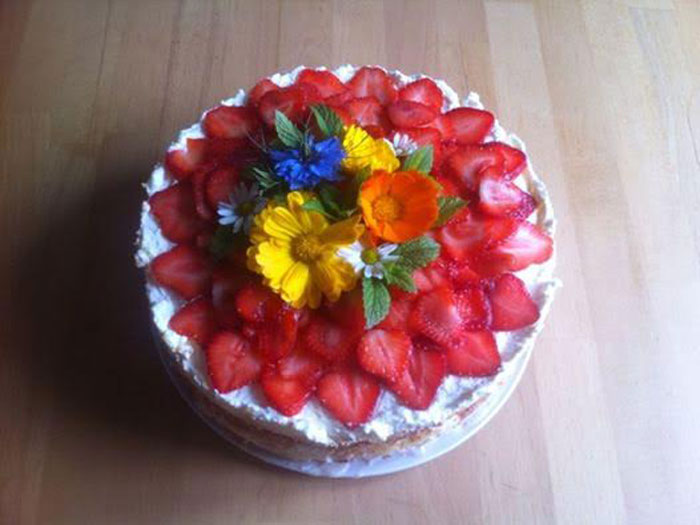 Naked Cake Erdbeertorte mit Blüten