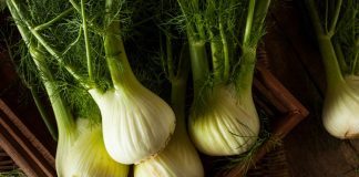 Gefüllter Fenchel