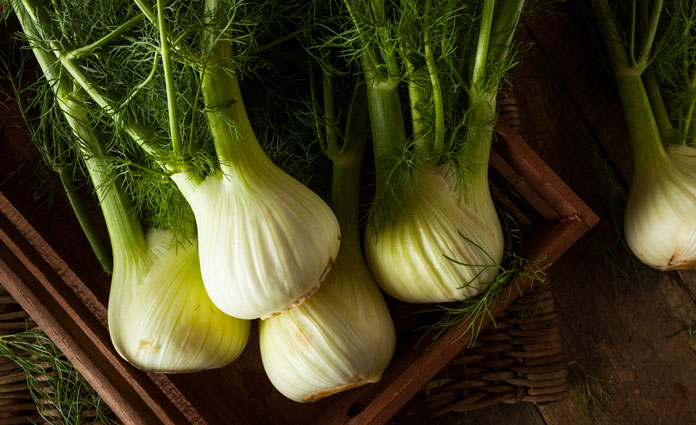 Gefüllter Fenchel