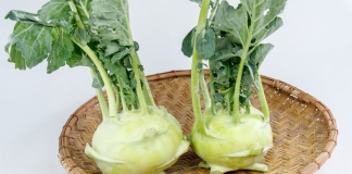 Kohlrabiragout