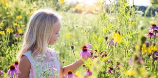 Ein kleines Mädchen steht in einer Blumenwiese